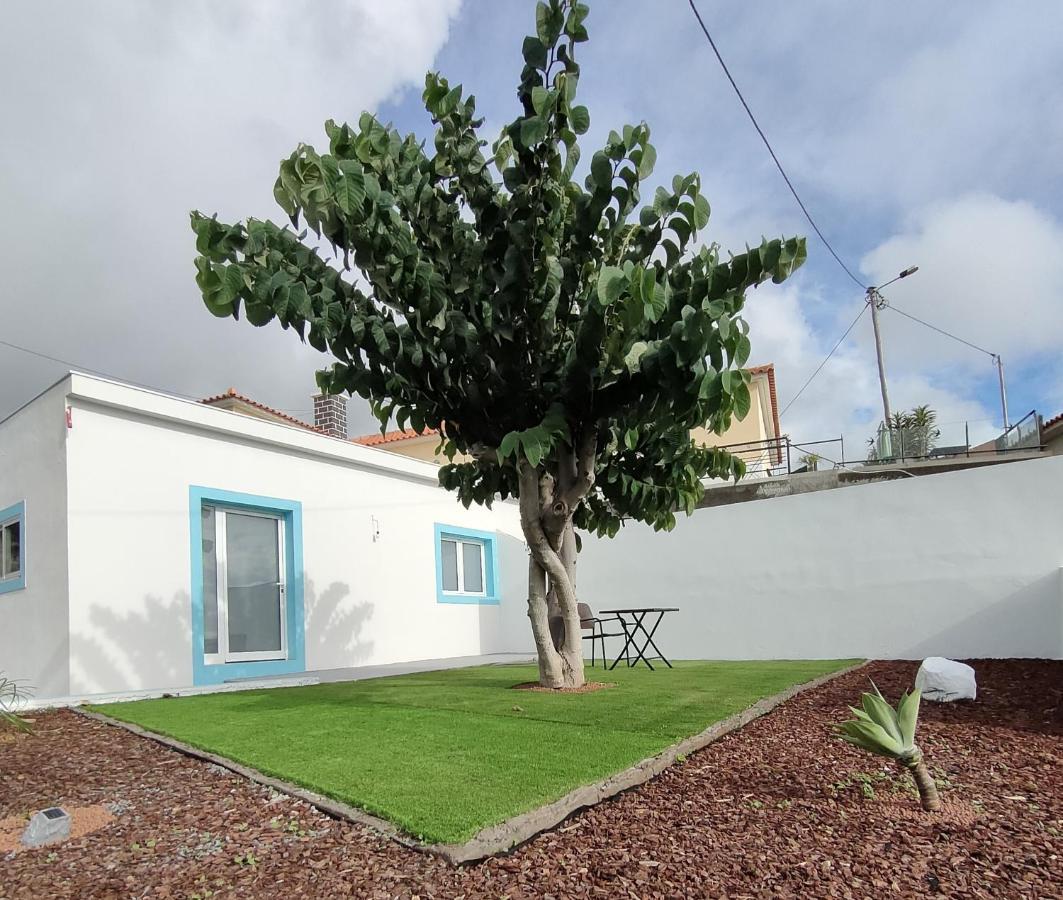 Villa Madeira Blue House Calheta  Exterior foto